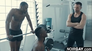 Two black gays fuck white guy in the gym -  gay threesome sex
